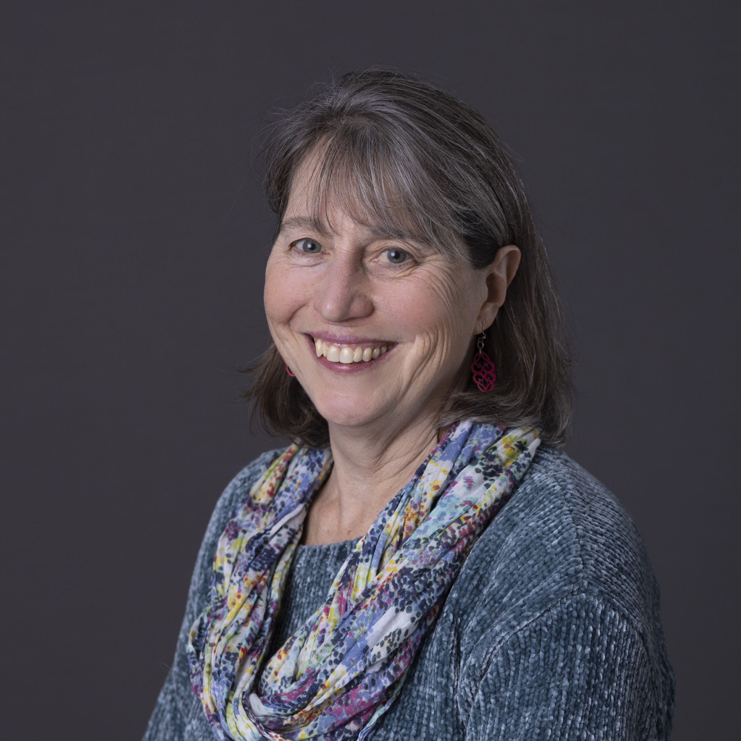 Alison Dixon - Berkshire Regional Planning Commission